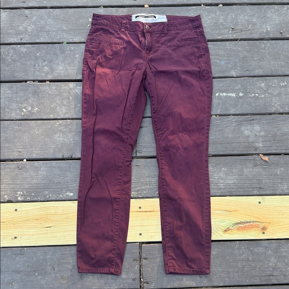 Daughters of Liberation Anthropologie maroon chino pants size 8